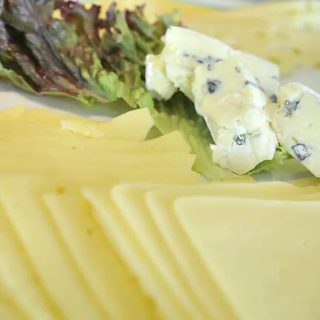 호텔 Plaza Berlin Sued 루드비히스펠데