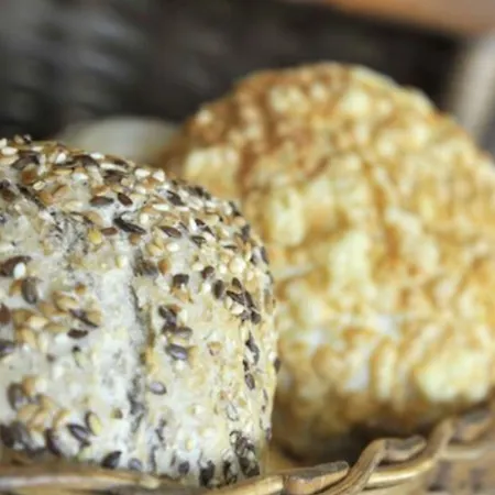 호텔 Plaza Berlin Sued 루드비히스펠데