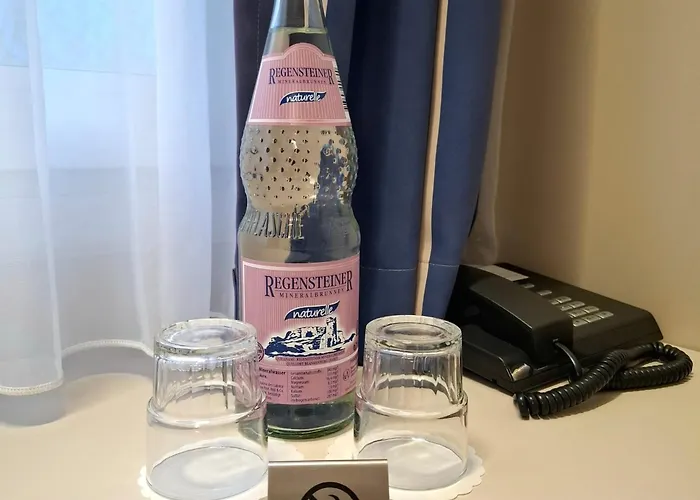 Plaza Berlin Sued Hotel 3*